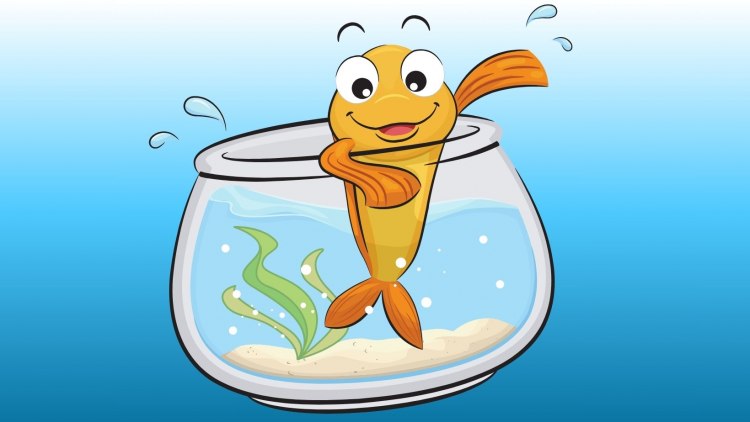 If Your Pet Fish Had a Podcast, What Topics Would It Discuss?