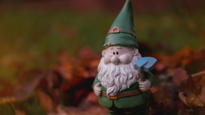 What Type of Garden Gnome Would You Be?