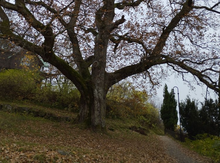 Harvest Heart Quiz: Find Your Autumnal Soulmate!