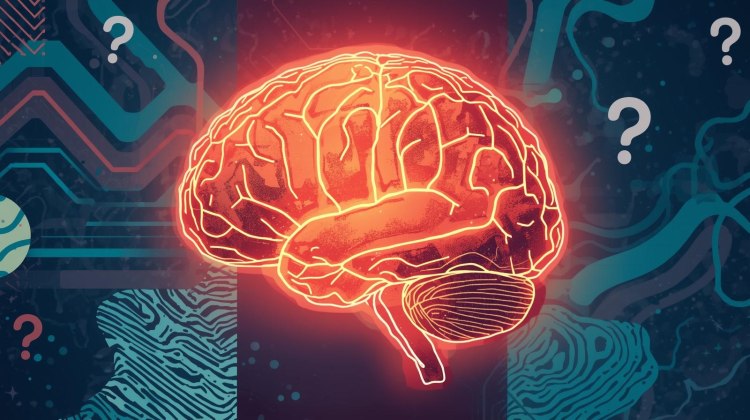 Ultimate Smart Mix: Can You Outsmart This Trivia?