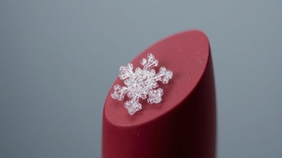 What's Your 2025 Vibe Check? Aesthetic Personality Quiz