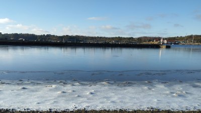 Your 2025 Year in Review: What Defined You This Year?