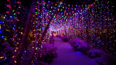 Which Christmas Light Color Matches Your Aura?