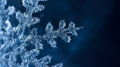 Choose a Winter Holiday Destination and Discover Your New Adventure Style!