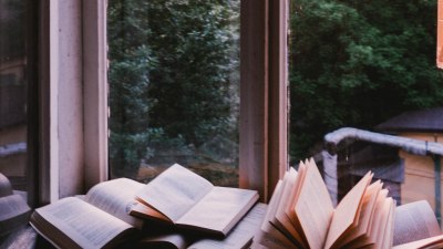 Which Book Series Should You Start Reading Next?
