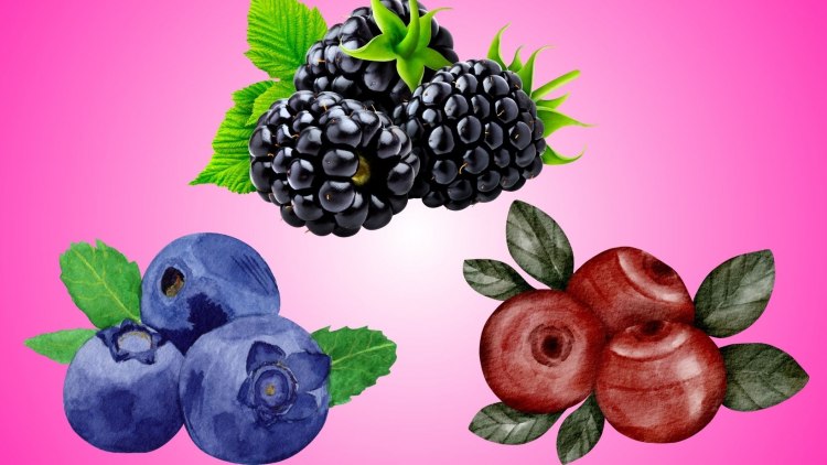 The Berry Quiz: Are You Cranberry, Blueberry, or Blackberry?