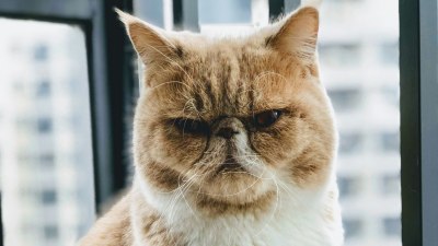 How Grumpy Are You?