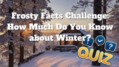 Snow Wonder: Test Your Knowledge About Winter’s Icy Marvels! (VIDEO QUIZ)