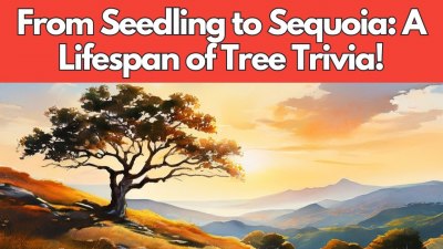 From Seedling to Sequoia: A Tree-mendous Trivia Challenge (VIDEO QUIZ)