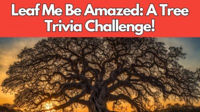 Treemendous Tree Trivia: A Leaf-Filled Challenge! (VIDEO QUIZ)