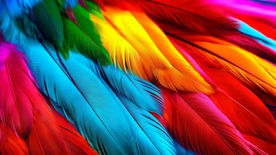 The Spiritual Meaning of Feathers You Find