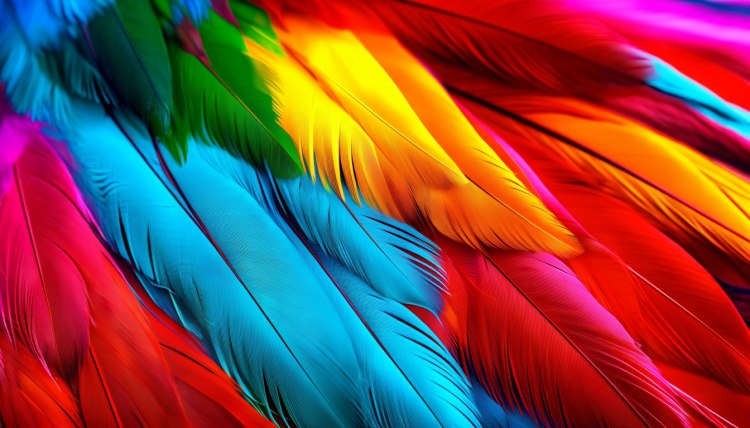 The Spiritual Meaning of Feathers You Find