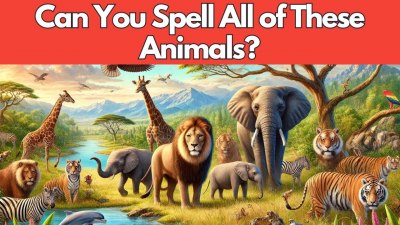 Back to School Spelling Challenge: Can You Spell These Animal Names? 🐘🦋 (VIDEO QUIZ)