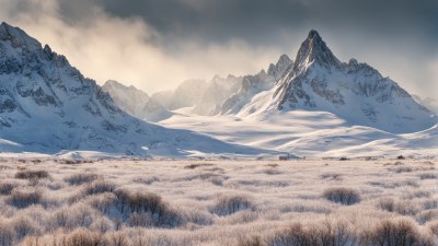 Are You Made for the Mountains or the Frosty Plains?